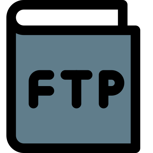 ftp Pixel Perfect Lineal Color icon