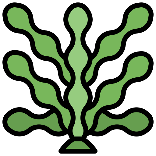 algue Surang Lineal Color Icône