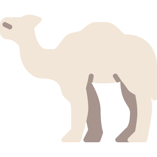 낙타 Berkahicon Flat icon