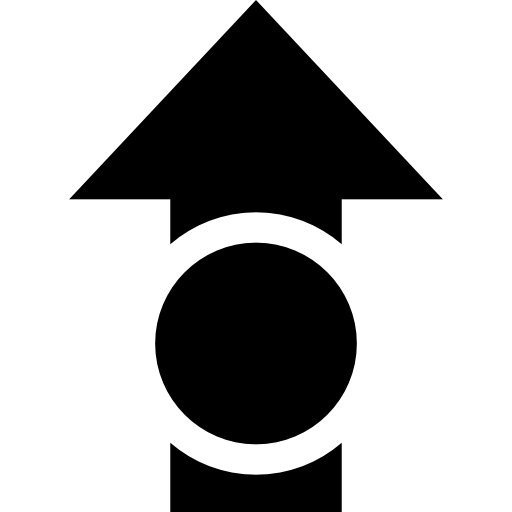 성장 Basic Straight Filled icon
