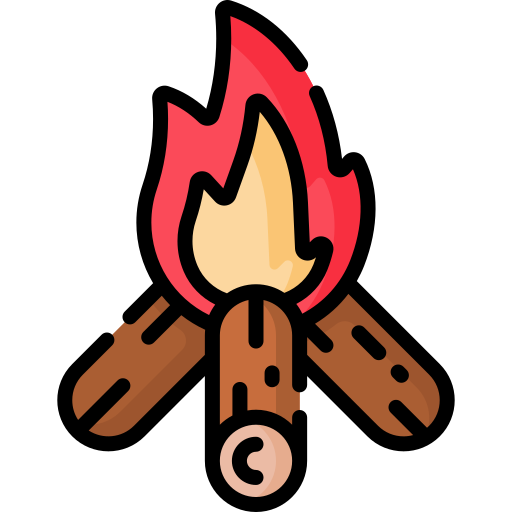 Bonfire Special Lineal color icon