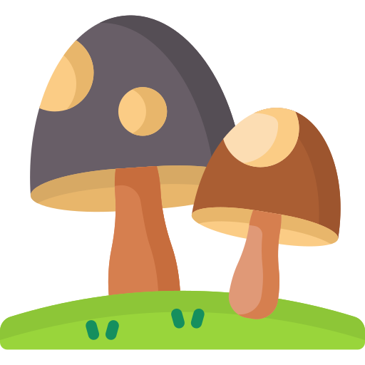 Mushroom Special Flat icon