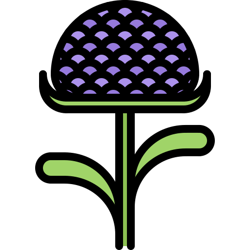 Flower Coloring Color icon