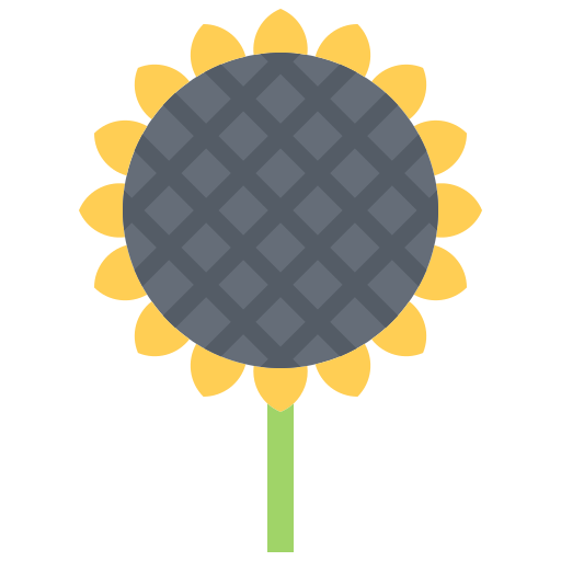 Sunflower Coloring Flat icon