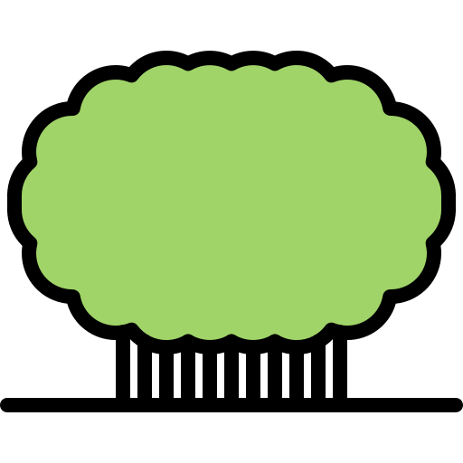 busch Coloring Color icon