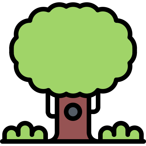 Oak Coloring Color icon