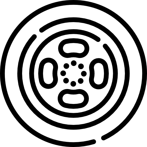 rueda Special Lineal icono