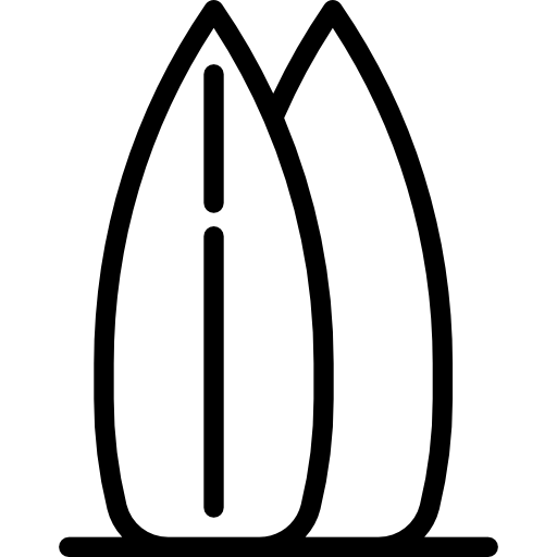 서핑 Special Lineal icon