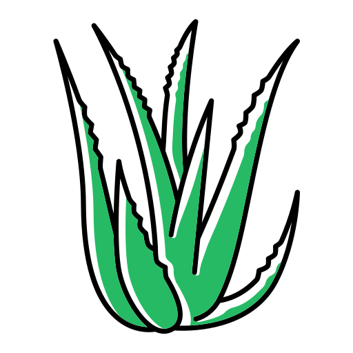 식물 잎 Generic Thin Outline Color icon