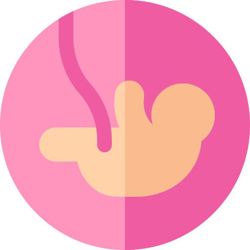 feto Basic Rounded Flat icono
