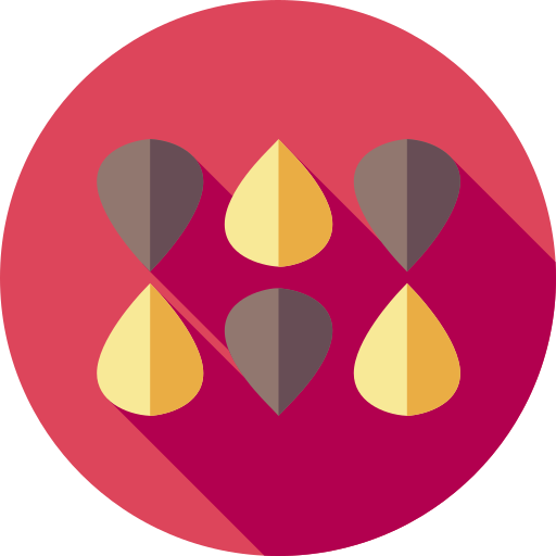 Sesame Flat Circular Flat icon