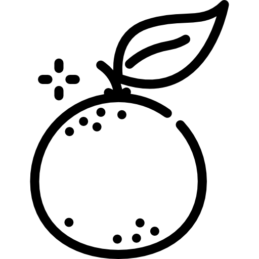 naranja Special Lineal icono