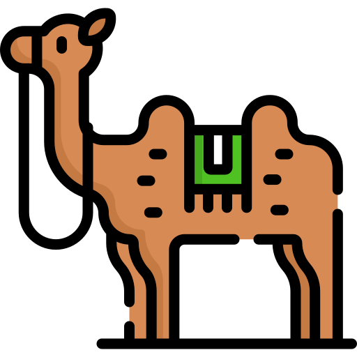 Верблюд Special Lineal color иконка