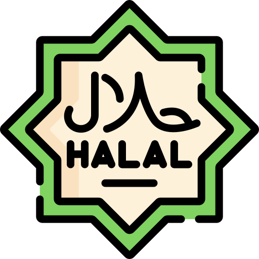 halal Special Lineal color icona