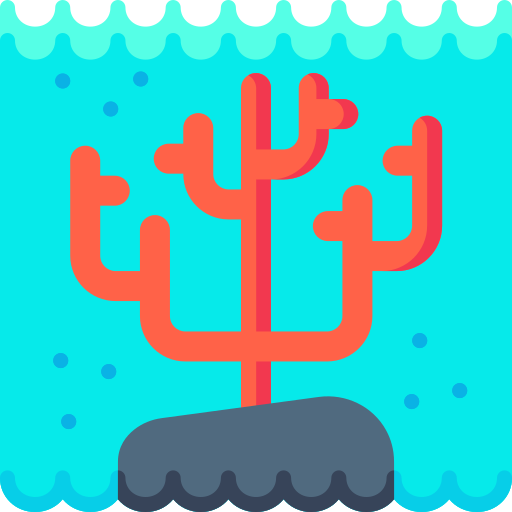 arrecife de coral Special Flat icono