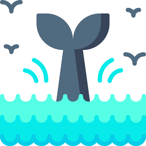 baleine Special Flat Icône