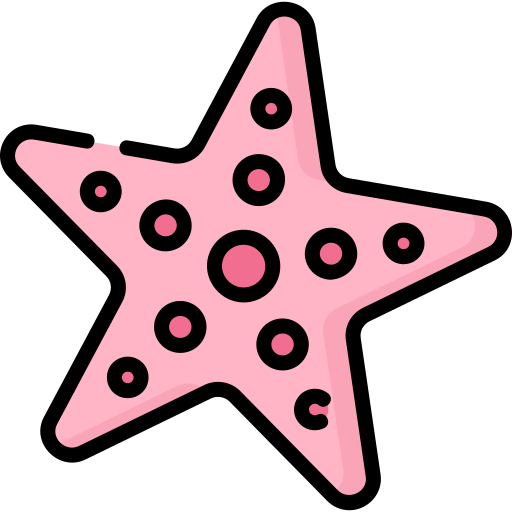 Starfish Special Lineal color icon