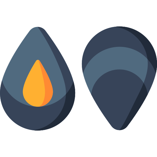 Mussel Special Flat icon