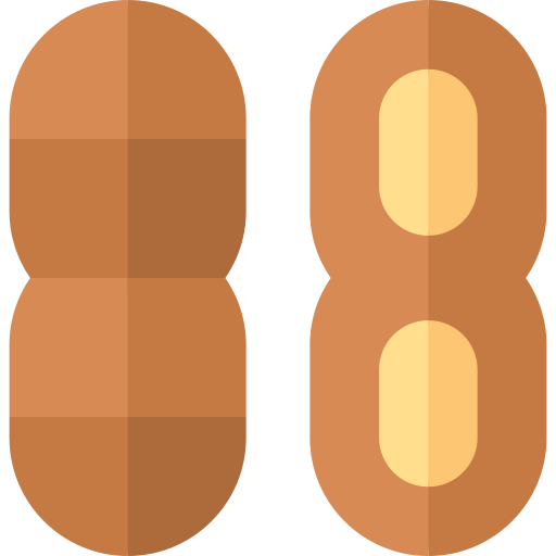 cacahuètes Basic Straight Flat Icône