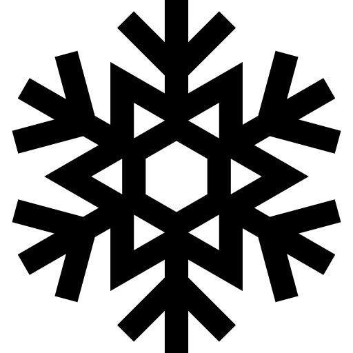 płatek śniegu Basic Straight Lineal ikona