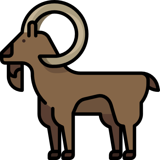 Goat Special Lineal color icon