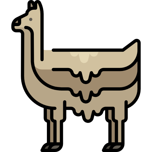 Llama Special Lineal color icon
