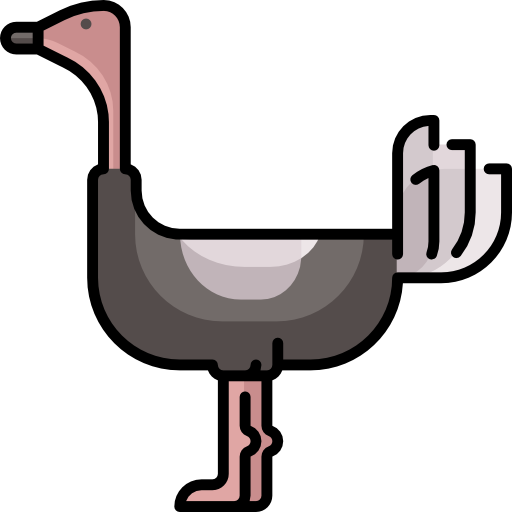 avestruz Special Lineal color icono