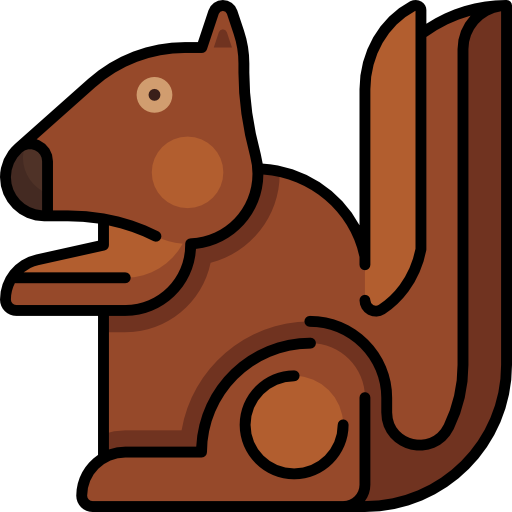 Squirrel Special Lineal color icon