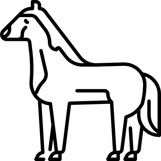 cavalo Special Lineal Ícone