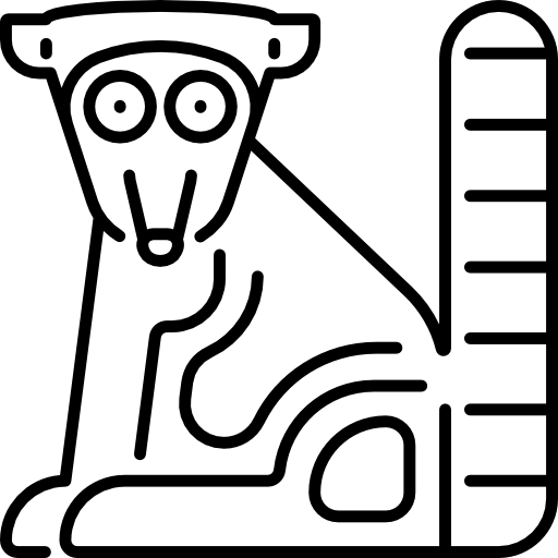 lemur Special Lineal icon