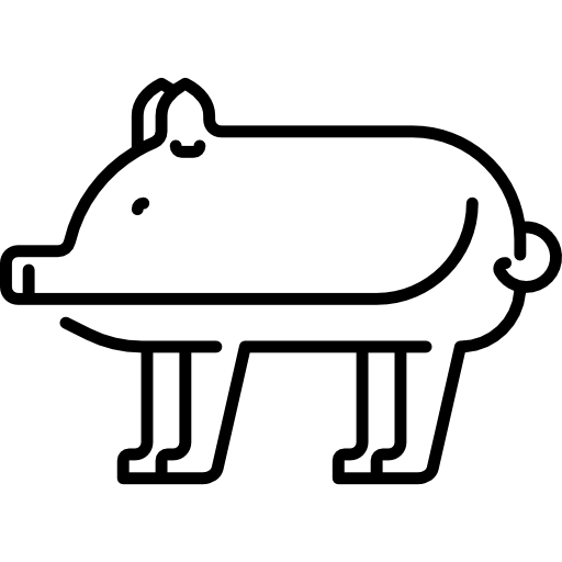 Świnia Special Lineal ikona