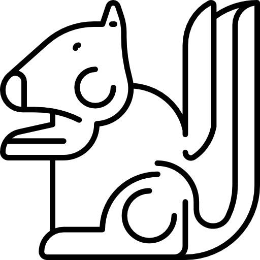 wiewiórka Special Lineal ikona