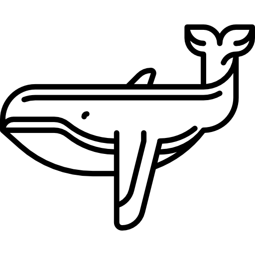 ballena Special Lineal icono