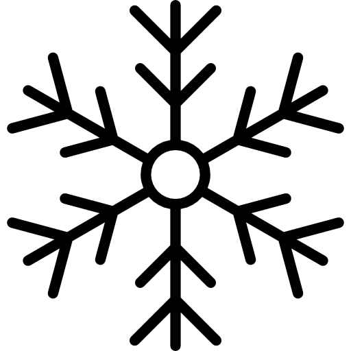 płatek śniegu Special Lineal ikona