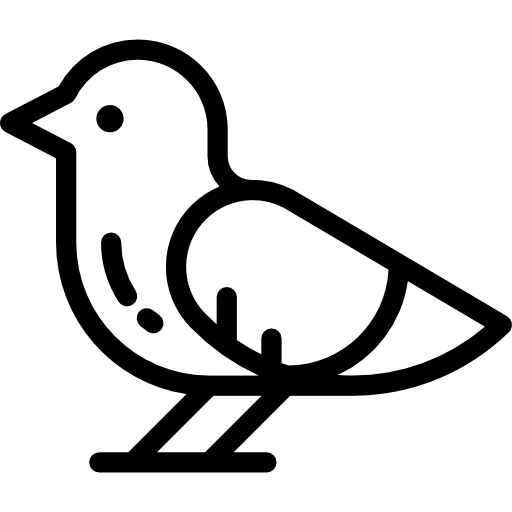 Bird Detailed Rounded Lineal icon