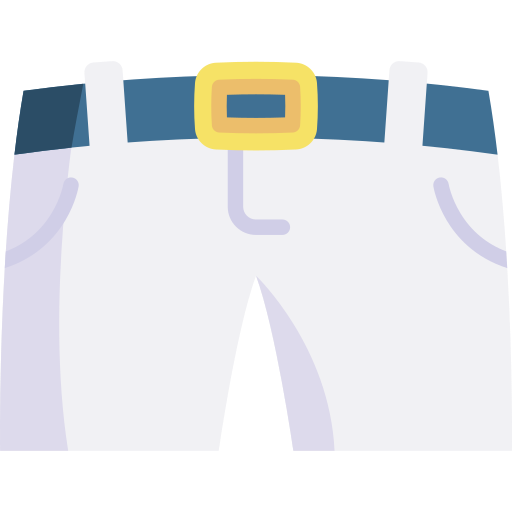 pantalones cortos Special Flat icono