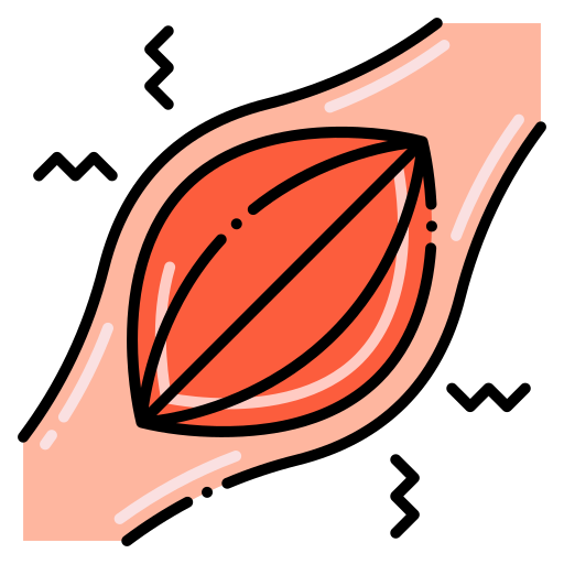 근육 Flaticons Lineal Color icon