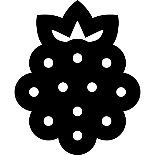 Raspberry Basic Straight Lineal icon