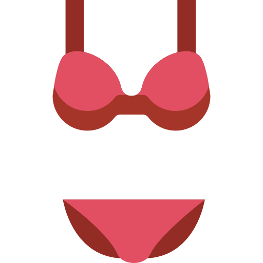 Lingerie Special Flat icon