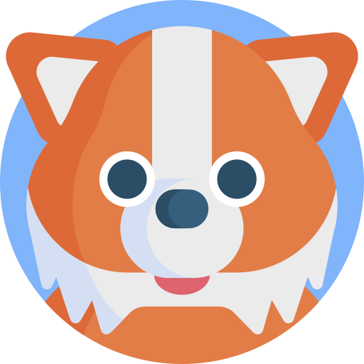 狐 Detailed Flat Circular Flat icon