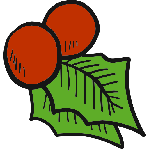 Mistletoe Hand Drawn Color icon
