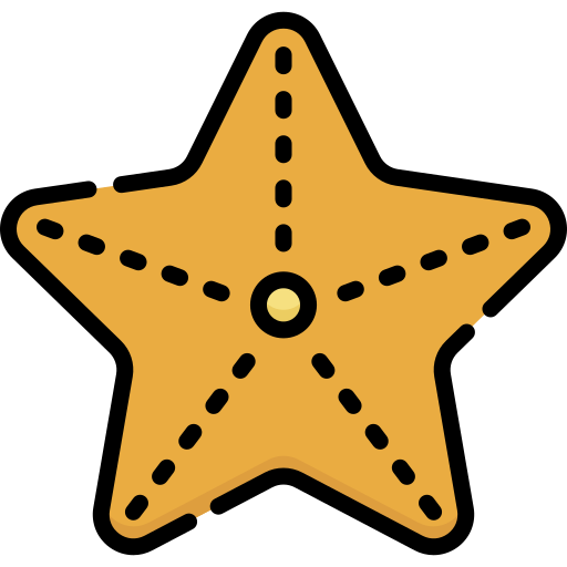 Starfish Special Lineal color icon