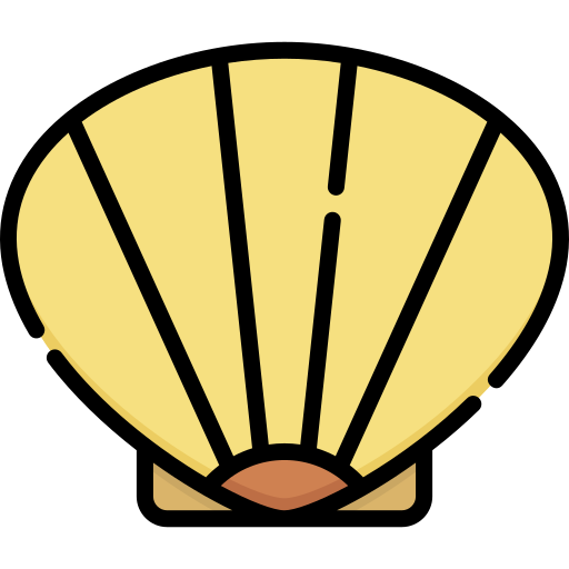 Shell Special Lineal color icon