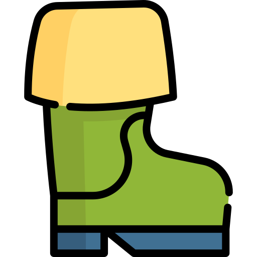 stiefel Special Lineal color icon