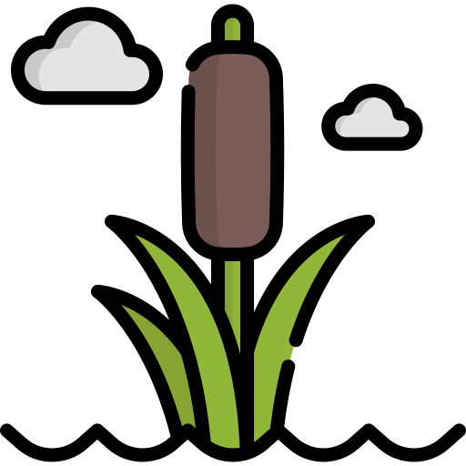 Bulrush Special Lineal color icon