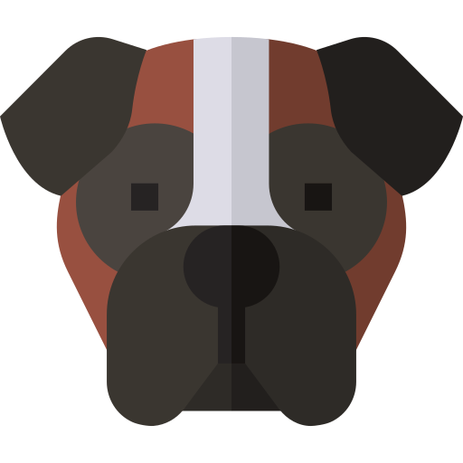 Boxer Basic Straight Flat icon