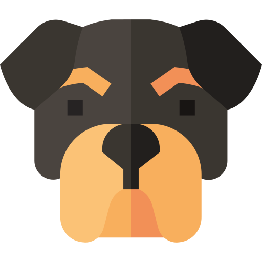 rottweiler Basic Straight Flat icoon