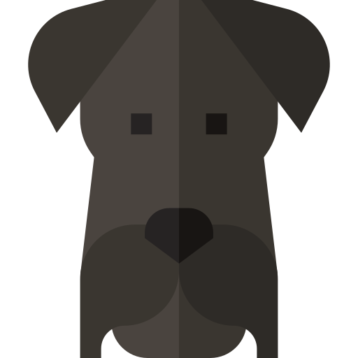 Miniature schnauzer Basic Straight Flat icon