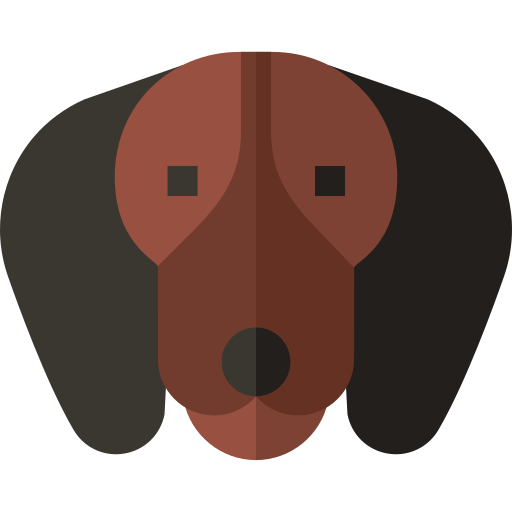 perro tejonero Basic Straight Flat icono