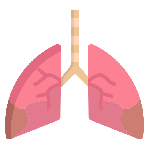 肺 Icongeek26 Flat icon